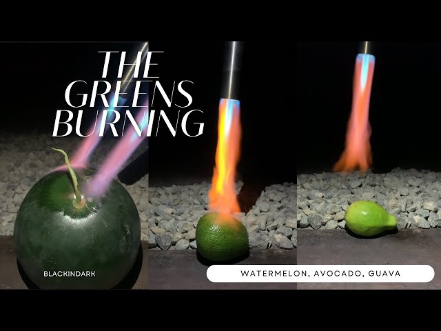 3 Fruits Burning Experiments #burning #fireflame #experiment #satisfying #asmr