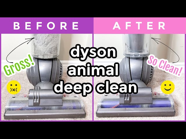 HOW TO CLEAN A DYSON ANIMAL UPRIGHT BALL VACUUM | VACUUM DEEP CLEAN | IN DEPTH CLEANING INSTRUCTIONS