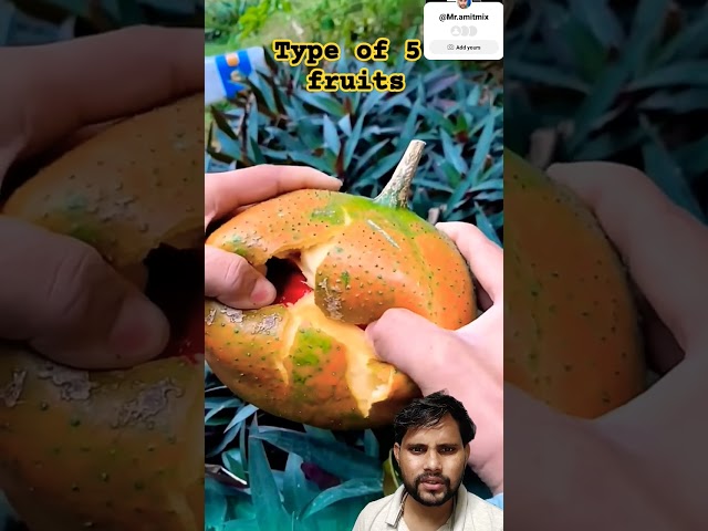 Incredible Fruit Cutting ASMR