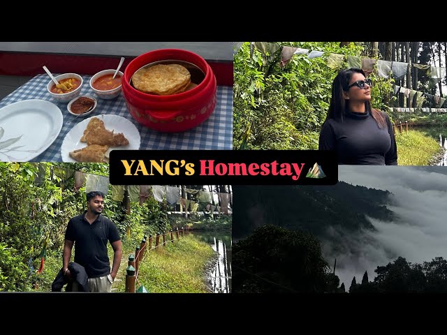 YANG's HOMESTAY | Best Homestay in Sukhiapokhri