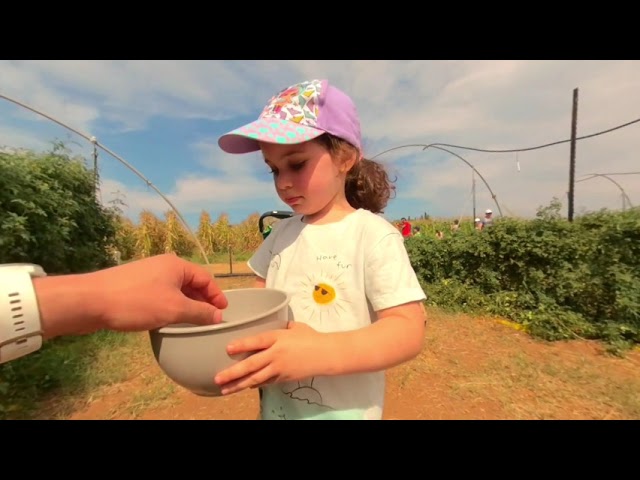 Corncobs and Mazes,  Hod Hasharon, 2021.10.16