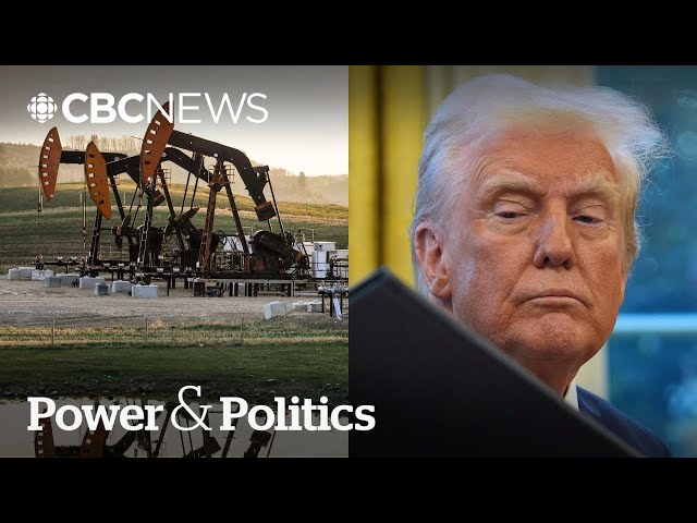 Trump promises tariffs on Canada. But is oil included? | Power & Politics