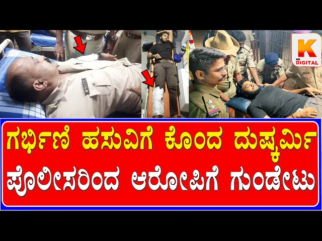 Cow Case: police shootout| ಗರ್ಭಿಣಿ ಹಸುವಿಗೆ ಕೊಂದ ದುಷ್ಕರ್ಮಿ ಪೊಲೀಸರಿಂದ ಆರೋಪಿಗೆ ಗುಂಡೇಟು | Kali Digital