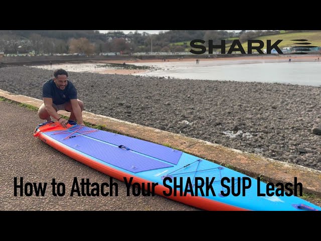 How to Attach a Shark SUP Leash – Easy Step-by-Step Guide