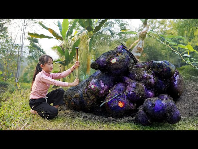 Harvesting Giant Primitive YAM Go to Market Sell | Poor Girl Cooking Delicious Stewed Yam and Bone