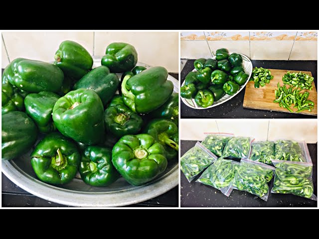 সবজি সংরক্ষণ প্রক্রিয়া || Vegetable Preservation Process.ক্যাপসিকাম সংরক্ষণের টিপস |