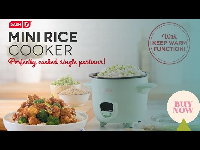 Dash Mini Rice Cooker Review