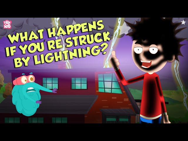 What Happens If You're Struck By LIGHTNING? | Thunder & Lightning | Dr Binocs Show | Peekaboo Kidz