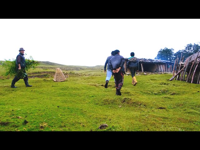 Himalayan Life of Nepal || searching toad for curry || rural nepal quest || himalayan life of nepal