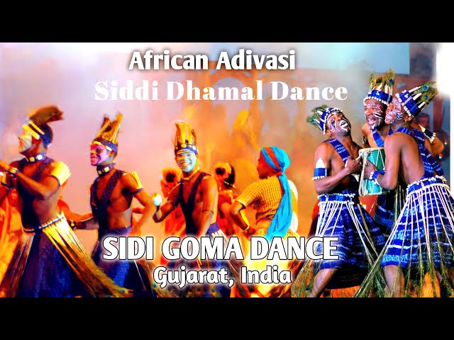 AFRICANS FOLK DANCE // SIDDHI DHAMAL // SIDI GOMA // SAMBALPUR LOK MAHOSAV 2025