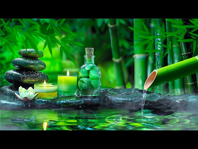 Relaxing Music to Relieve Stress, Anxiety and Depression 🌿 Heals The Mind, Body and Soul #22