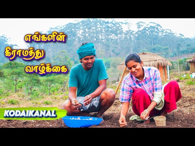 PEACEFULL Village Life in KODAIKANAL 😍 | Tamil Native Farmer'இன் தோட்டத்து வாழ்க்கை | Rural Life