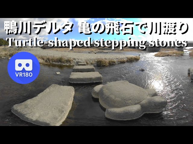 VR180  Virtual trip Japan KYOTO 京都観光 鴨川デルタ 亀の飛び石で川渡り