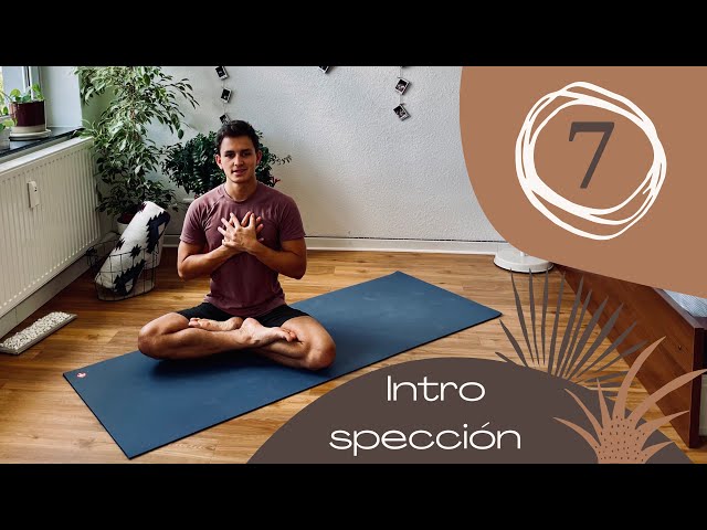 Día 7 - Introspección (Yoga para Principiantes, Intermedio y Avanzados) | 15 días con Jan Yoga