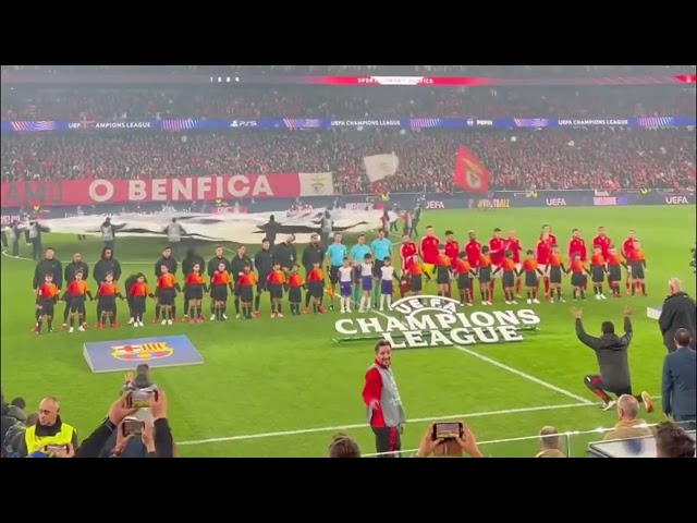 BEST OF BENFICA - BARCELONA 2025 HIGHLIGHTS