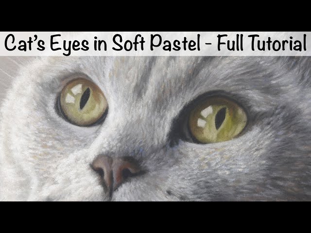 How To Paint Cat's Eyes in Soft Pastel - Full Tutorial