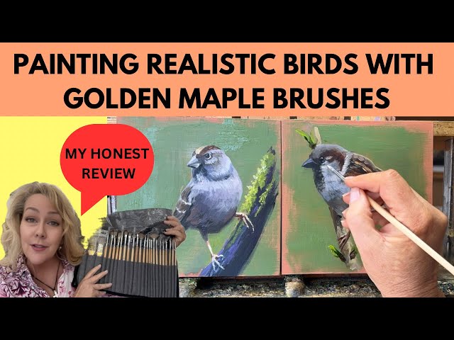 GOLDEN MAPLE PAINT BRUSH REVIEW- PAINTING BIRDS-Suzanne Barrett Justis