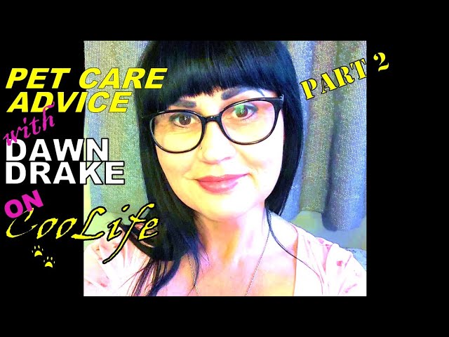 PET CARE ADVICE with DAWN DRAKE Part 2 on CooLife Podcast