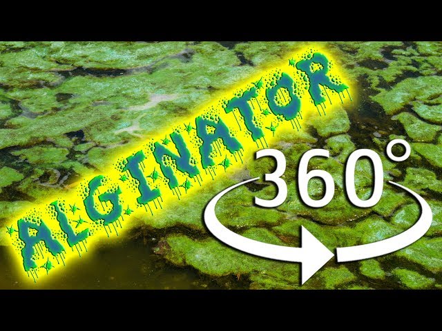 Benjamin Herzog "Alginator - Erhebung der Algen" [in 360°]