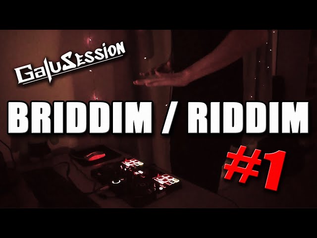 Clásicos de BRIDDIM / RIDDIM DUBSTEP | GaluSession #1