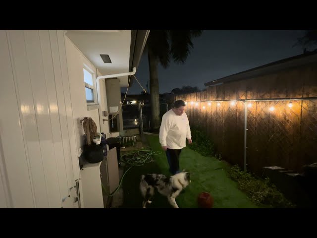 Play with my Dog in his little backyard!