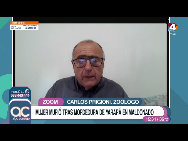 Algo Contigo - Mujer murió tras ser mordida por una serpiente