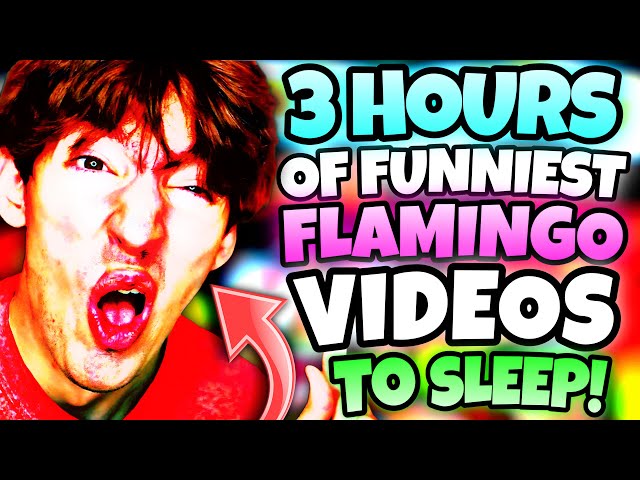 *3 HOURS* OF FLAMINGO VIDEOS TO FALL ASLEEP TO! (MARATHON/ROBLOX)