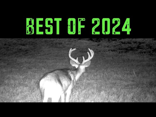 Best of 2024!