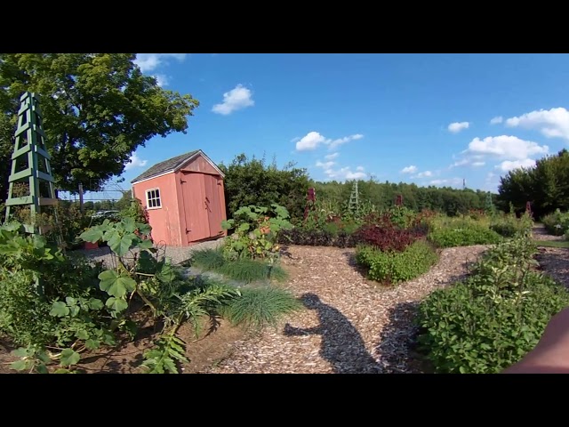 8-Vegetable Garden