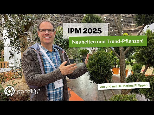 IPM Essen 2025: Discovered for you: The plant trends 2025 with exciting interviews and insights!