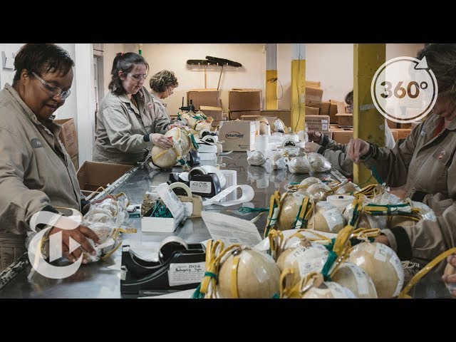 Where It’s Made: Fourth of July Fireworks | The Daily 360 | The New York Times