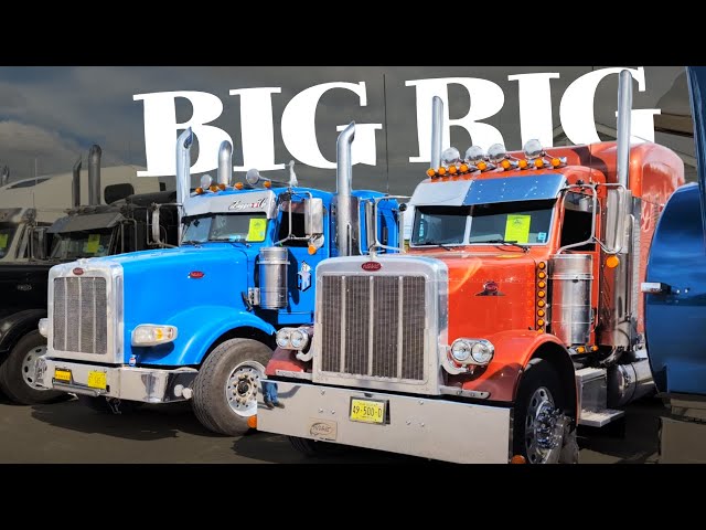 Weymouth Big Rig Show Walkaround: Full experience