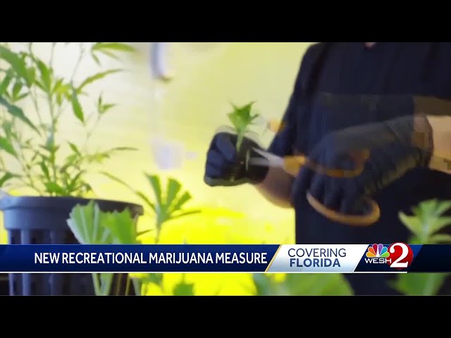 New effort to put recreational cannabis back on Florida ballot in 2026