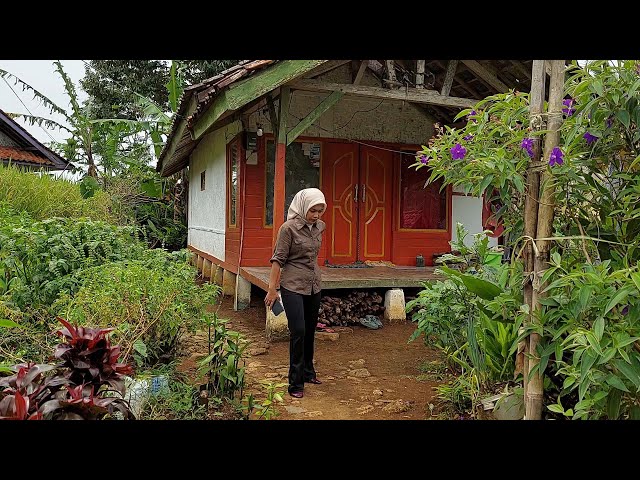 Menikmati sejuknya udara rumah di tepi sawah dan gunung