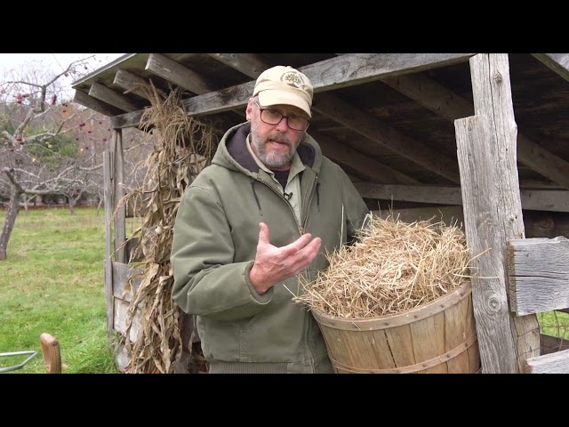 Backyard Composting