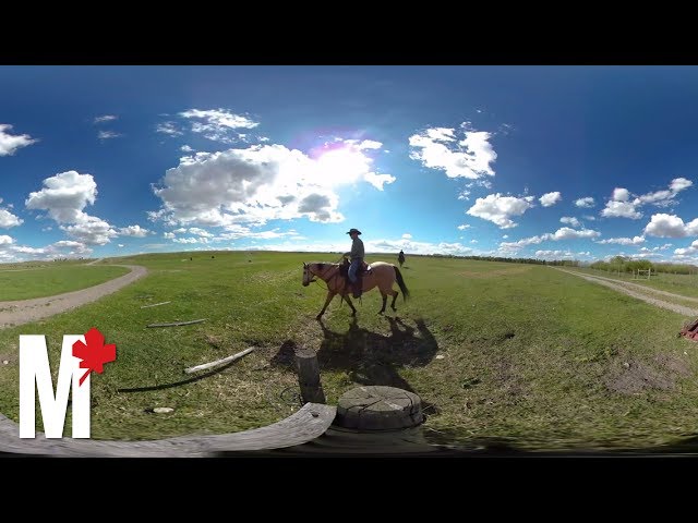 A day in the life of a rancher, in 360 degrees