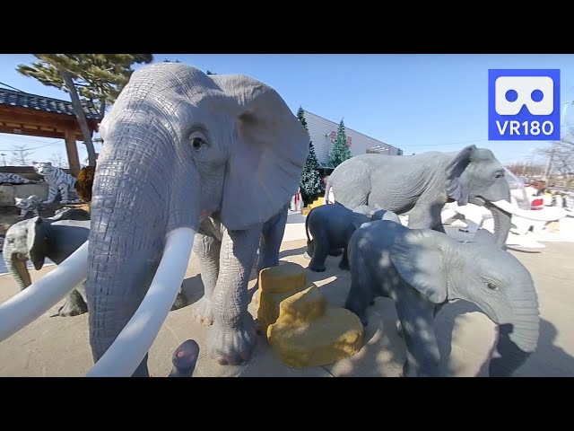 3D 180VR 4K Giant Elephant Family in Happiness Elephant Village