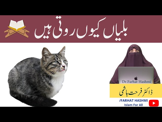 Billi Kiyon Roti Hai Is Ki Kiya Haqiqat Hai By |Dr Farhat Hashmi|