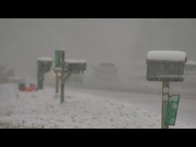 Season's first major snowfall hits Southeast Michigan