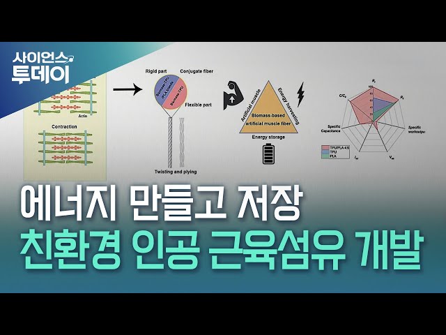 에너지 만들고 저장…친환경 인공 근육섬유 개발 / YTN 사이언스