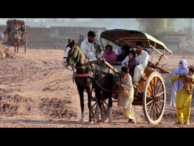 Unseen Village Life in Punjab Pakistan||Full Traditional Culture in Punjab||Rural Village Life