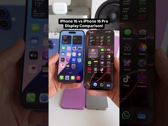 Iphone 16 pro max vs iphone 16 display comparison #apple #iphone16promax #iphonedisplay