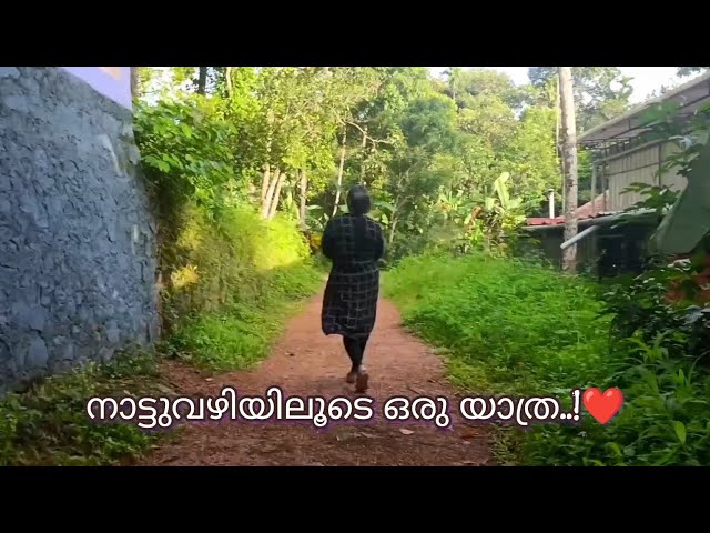 നാട്ടുവഴിയിലൂടെ ഒരു യാത്ര..! ❤️