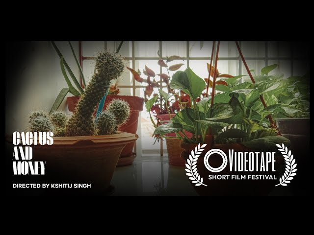 CACTUS and MONEY (A short Film)