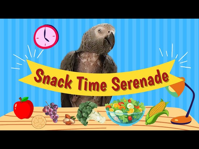 Snack Time Serenade – Einstein’s Tasty Tunes & Treats!