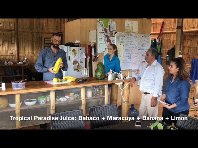 Jugo tropical del paraíso - Finca Yantza, Ecuador