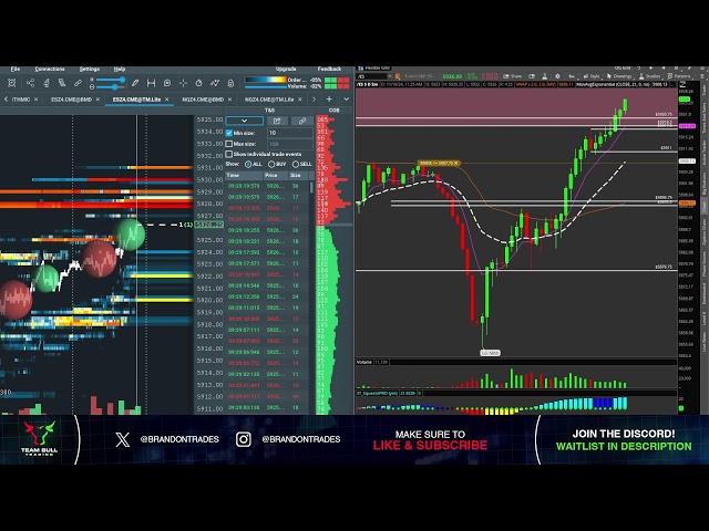 Live Day Trading