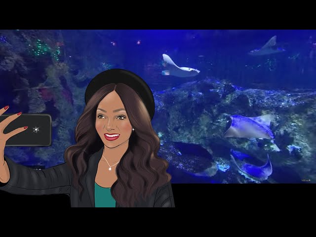 360 | ROCKY NASH | LAS VEGAS | SHARK REEF