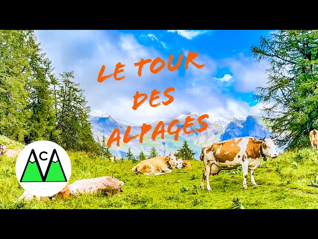 Rando Le tour des alpages à Anzère (VS-CH) 5.8.2023