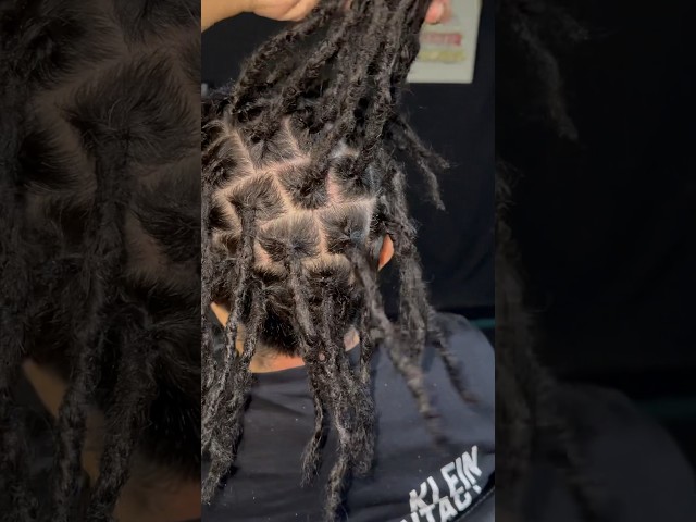 Insta locs on 2c Hair #locs #locstyles #shorts #naturalhair #subscribe